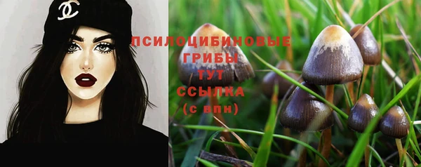 круглые Каменка