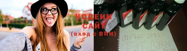 крисы Инсар