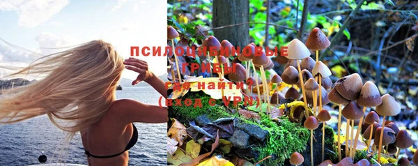 альфа пвп Каменногорск