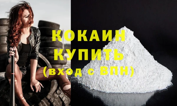 крисы Инсар