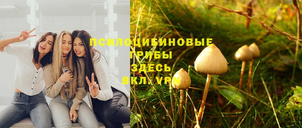 гидропоника Каменск-Шахтинский
