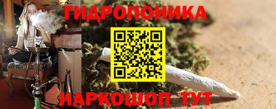 индика Жуковский