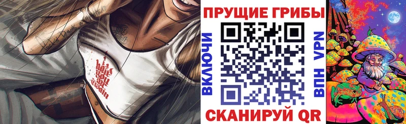 Галлюциногенные грибы Cubensis  Ленинск-Кузнецкий 