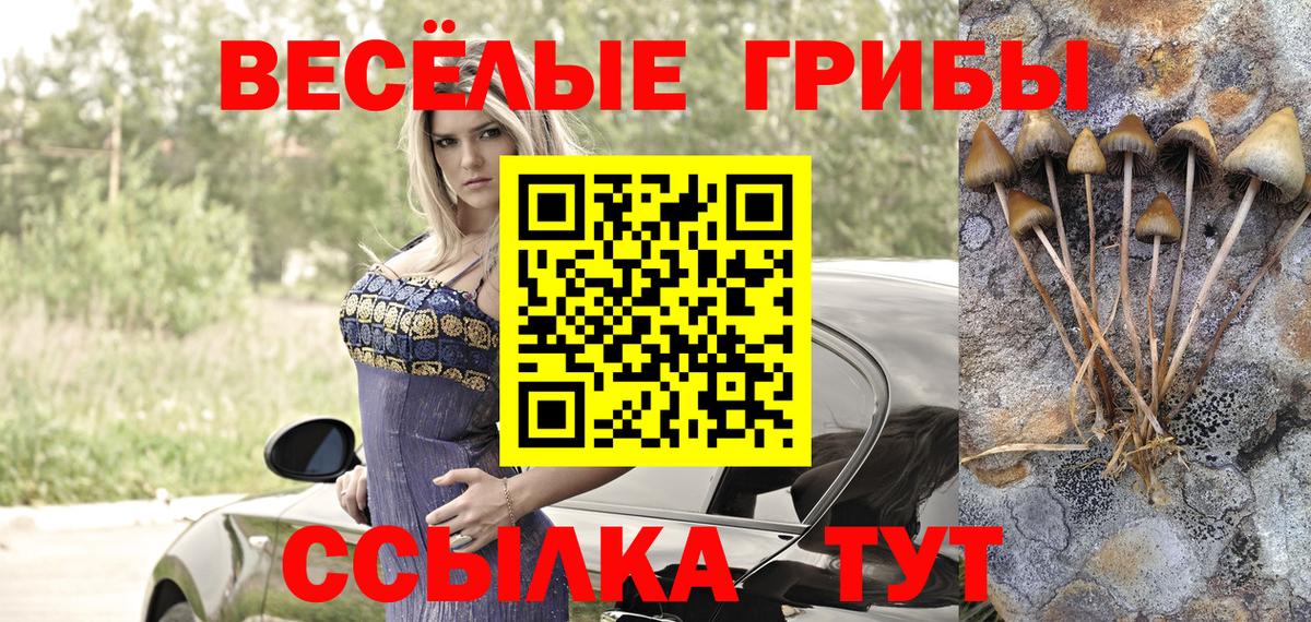 Ленинск-Кузнецкий  Псилоцибиновые грибы мицелий  Псилоцибиновые грибы Magic Shrooms  Вход с VPN 